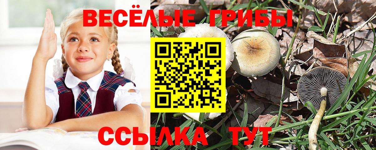 Галлюциногенные грибы GOLDEN TEACHER Зерноград
